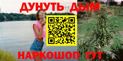 крисы Симферополь