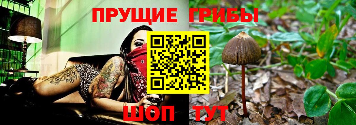 Ишим  Псилоцибиновые грибы ЛСД  Галлюциногенные грибы GOLDEN TEACHER  Вход с VPN 